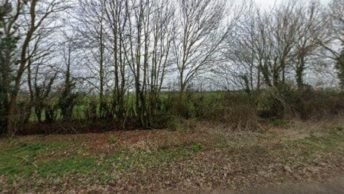 Margaret Roding in Dunmow