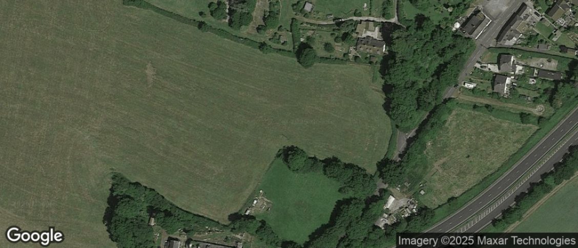 Marsh in Honiton
