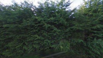 Maxey in Peterborough