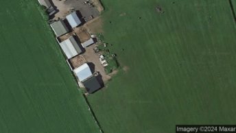 Melton in Melton Mowbray