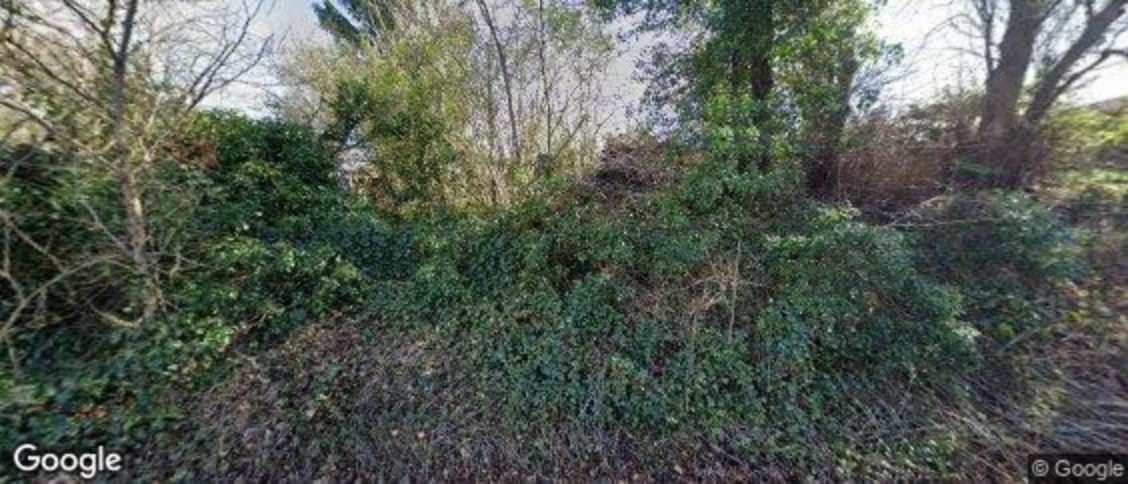 Mickleham in Dorking