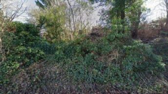 Mickleham in Dorking