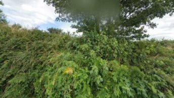 Milton Abbot in Tavistock