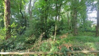 Misterton in Lutterworth