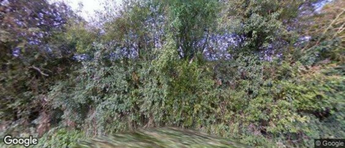 Monxton in Andover