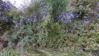 Monxton in Andover