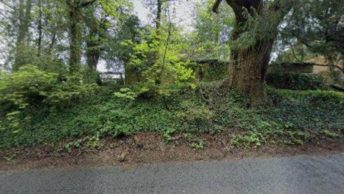 Morestead in Winchester