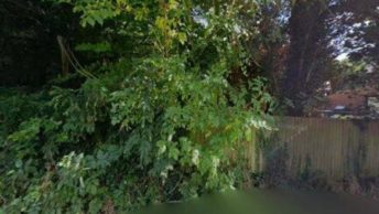 Nettleden in Hemel Hempstead