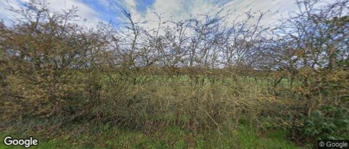 Northfields in Ealing