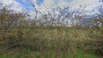 Northfields in Ealing