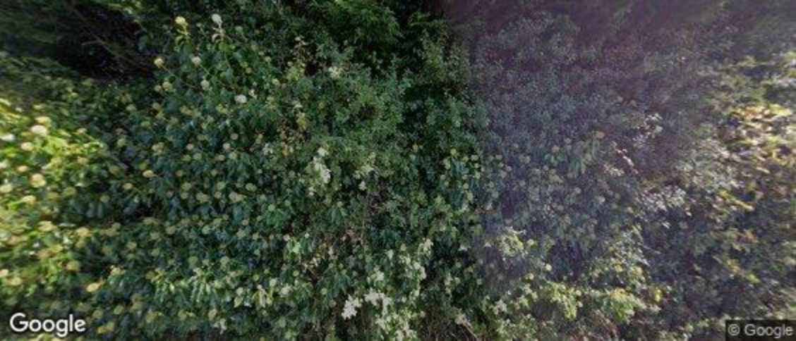 Noss Mayo in Plymouth