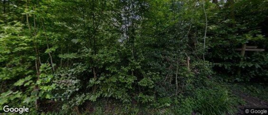 Ockley in Dorking