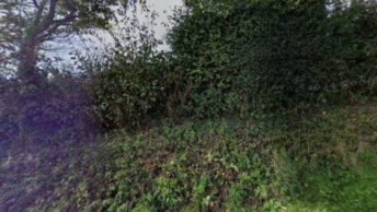 Pancrasweek in Holsworthy