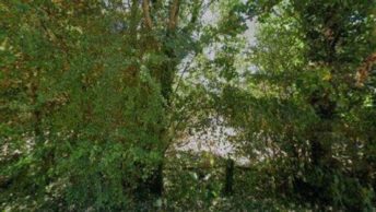 Peper Harow in Godalming