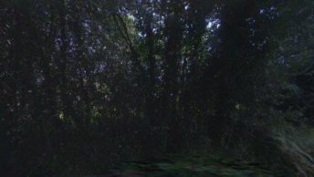 Pinner Green in Harrow