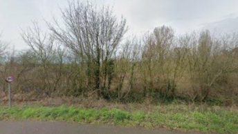 Pluckley in Ashford