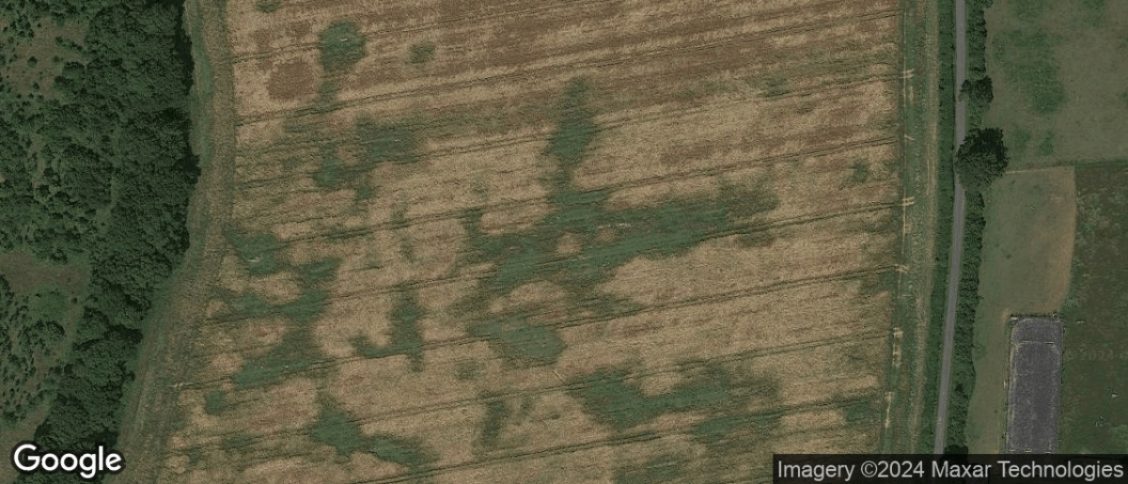 Priors Dean in Petersfield