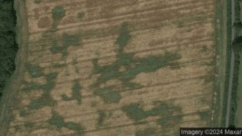 Priors Dean in Petersfield