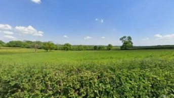 Puddington in Tiverton