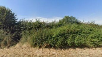 Rearsby in Leicester