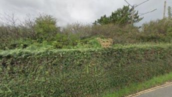 Reculver in Herne Bay