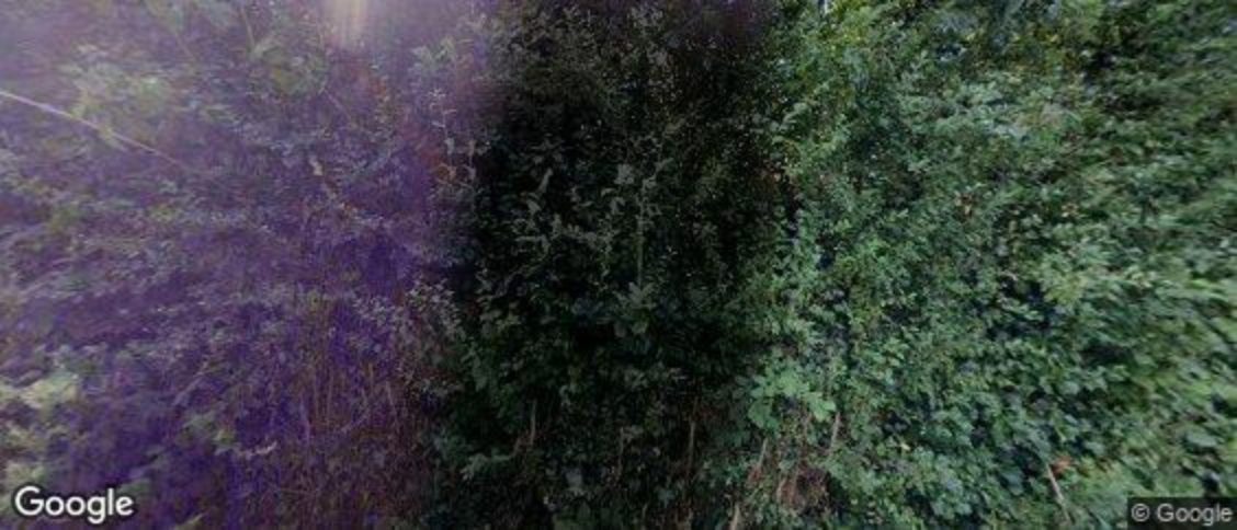 Ringmore in Kingsbridge