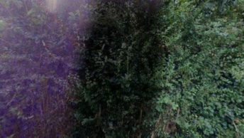 Ringmore in Kingsbridge