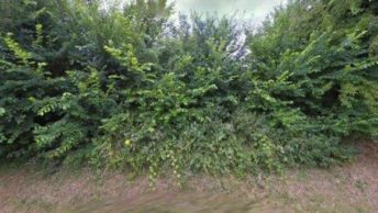 Seagrave in Loughborough