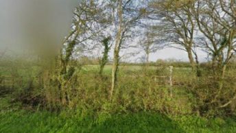 Sewards End in Saffron Walden