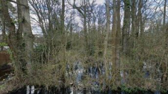 Shadoxhurst in Ashford