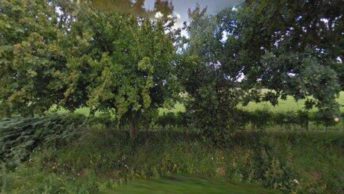 Sherfield English in Romsey