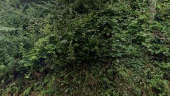 South Pool in Kingsbridge