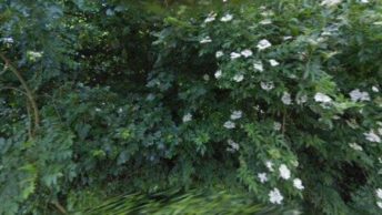 South Thoresby in Alford