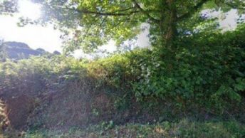 St Pinnock in Liskeard