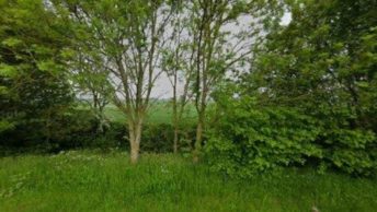 Stagsden in Bedford