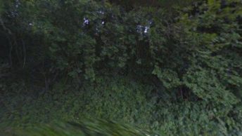 Stalisfield in Faversham