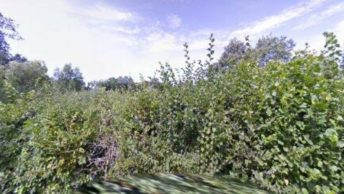 Stanford Dingley in Reading