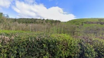 Staverton in Totnes