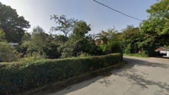 Steep Marsh in Petersfield