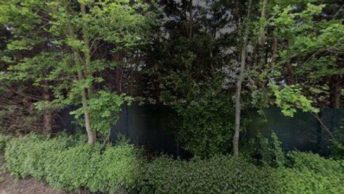 Stoke D'Abernon in
