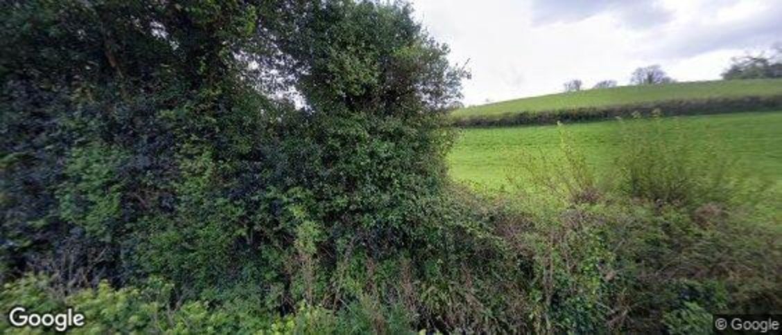 Stokeinteignhead in Newton Abbot