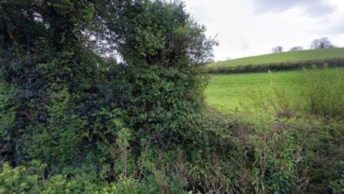 Stokeinteignhead in Newton Abbot