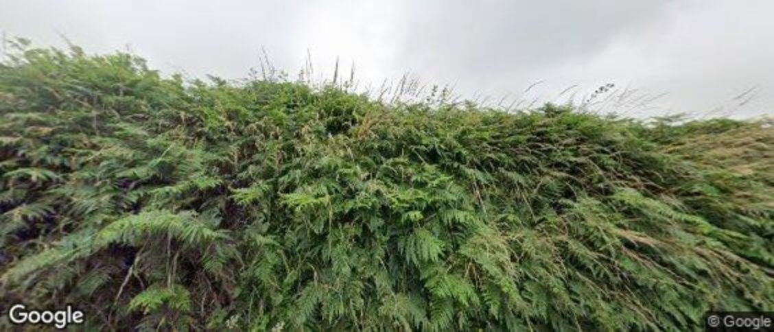 Stokenham in Kingsbridge