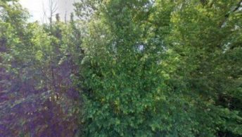 Stow Maries in Chelmsford