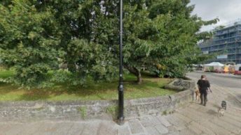 Tavistock in