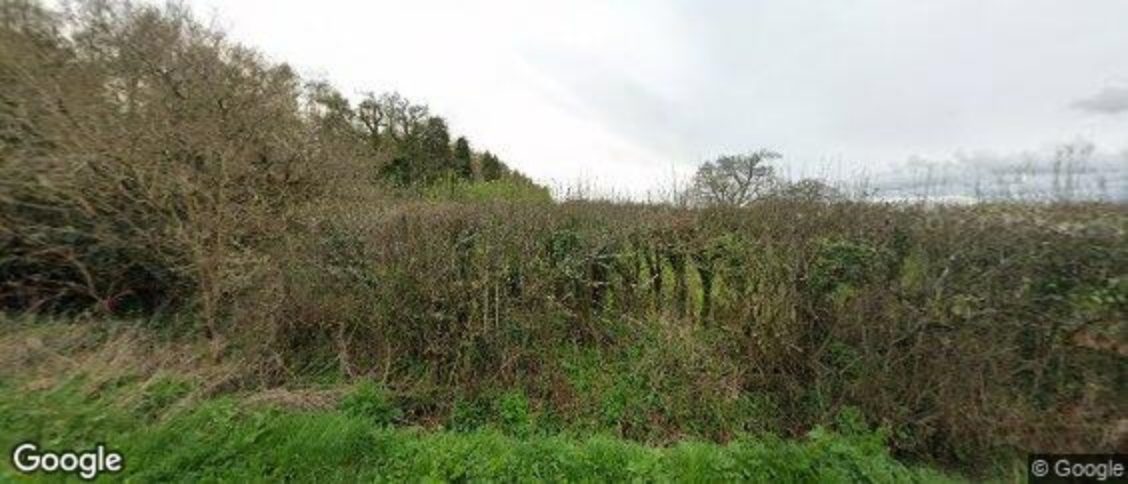 Teigngrace in Newton Abbot