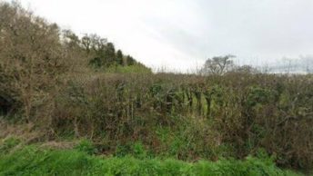 Teigngrace in Newton Abbot