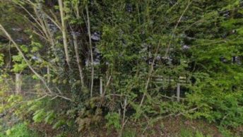 Temple Normanton in Chesterfield