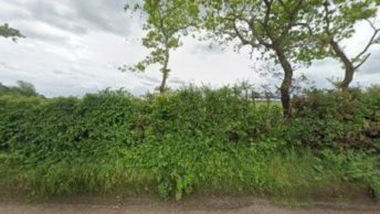 Thelbridge in Crediton