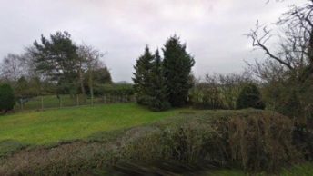 Thorley in